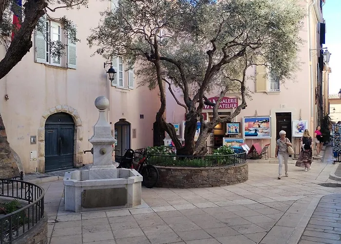 Florida * Saint-Tropez